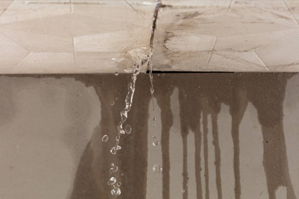 Professional Flood Damage Cleanup technician working in Otley, IA